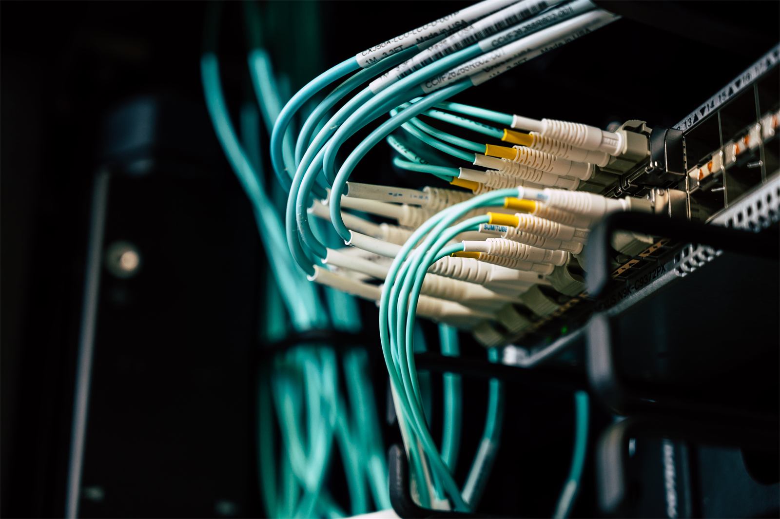 Glasfaser-Patchkabel in einem Netzwerk-Switch im Rechenzentrum